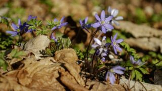 どんなスタイルになりたいですか？