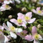 社会とつながる大切なこと