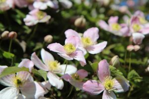 社会とつながる大切なこと