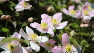 社会とつながる大切なこと