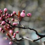 今日を褒めて明日へ