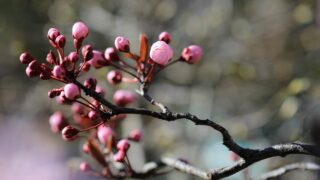 今日を褒めて明日へ