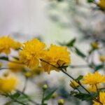 すれ違いはなぜ起きる