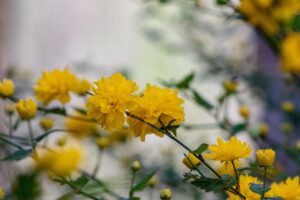 すれ違いはなぜ起きる