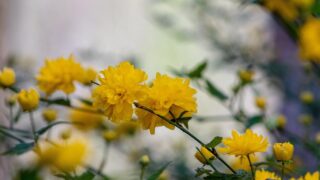 すれ違いはなぜ起きる