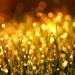 話そうと思えたときは