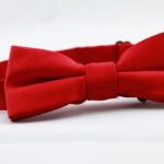 真実はいつも1つ？