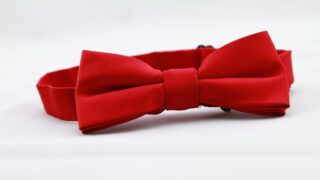 真実はいつも1つ？