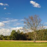 良い人に疲れたら