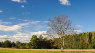 良い人に疲れたら