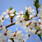 支えになるもの