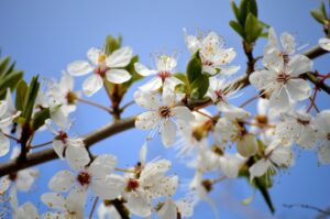 支えになるもの