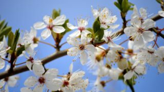 支えになるもの