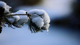 心が変わるタイミング