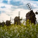 何となく不調それって花粉かも