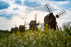 何となく不調それって花粉かも