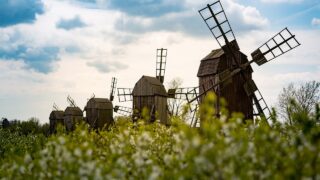 何となく不調それって花粉かも