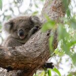 アイデアは心の余白に