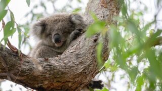 アイデアは心の余白に