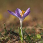 できたことをひとつだけ