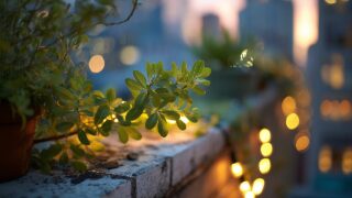 日曜が辛いあなたへ