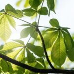 カウンセリングの後に残るもの