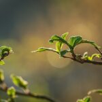 始まると始める