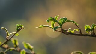 始まると始める