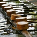 落ち着く場所はそれぞれでいい