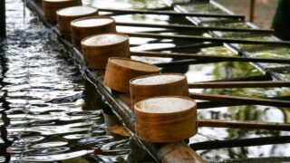 落ち着く場所はそれぞれでいい