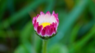 ちょっとだけでも