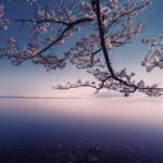 普通の人だから面白い