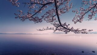 普通の人だから面白い