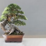 「変わる」と「ぶれる」