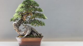 「変わる」と「ぶれる」
