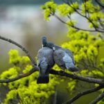 やさしさってどこにあるんだろう