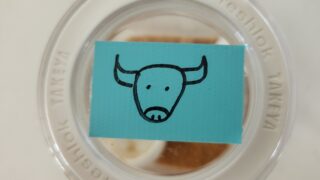 コンソメには牛がいる