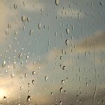 雨上がりが楽しみで