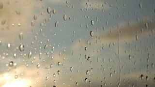 雨上がりが楽しみで