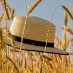 夏の楽しみは