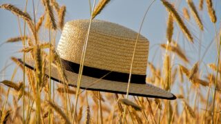 夏の楽しみは
