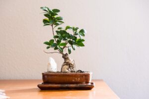 変な私