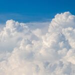 雲は何に見える？